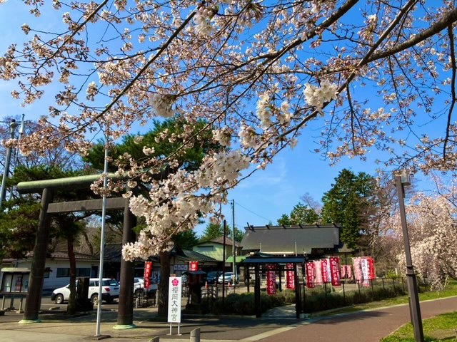 年間祭典紹介 | 櫻岡大神宮 公式ホームページ